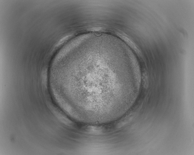 X0000115580442200911241516