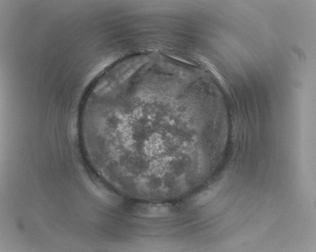 X0000115580443200911241516