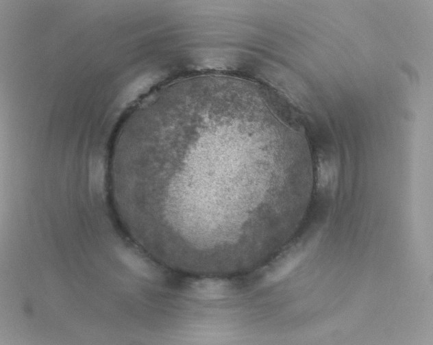 X0000115580444200911241516