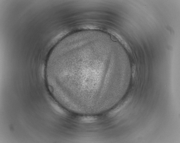 X0000115580445200911241516