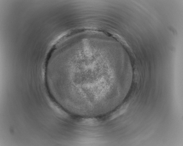 X0000115580446200911241516