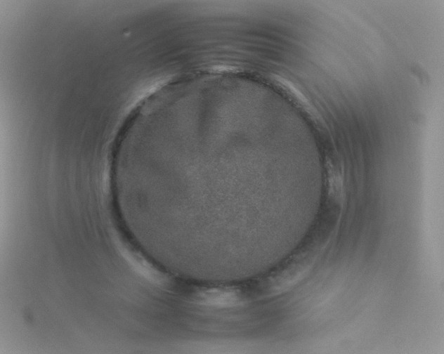 X0000115580447200911241516