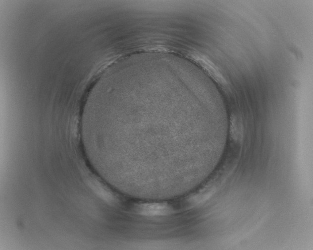 X0000115580449200911241516