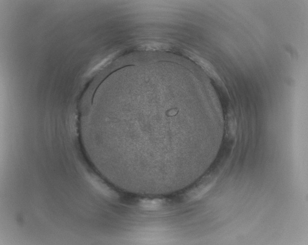 X0000115580450200911241516