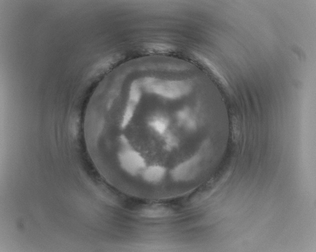 X0000115580451200911241516