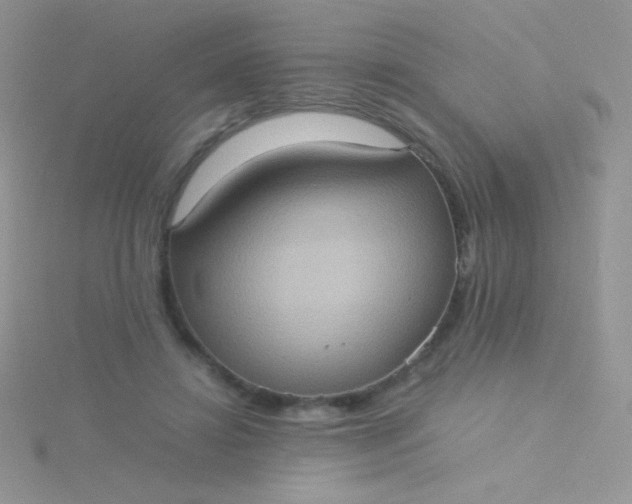 X0000115580452200911241516