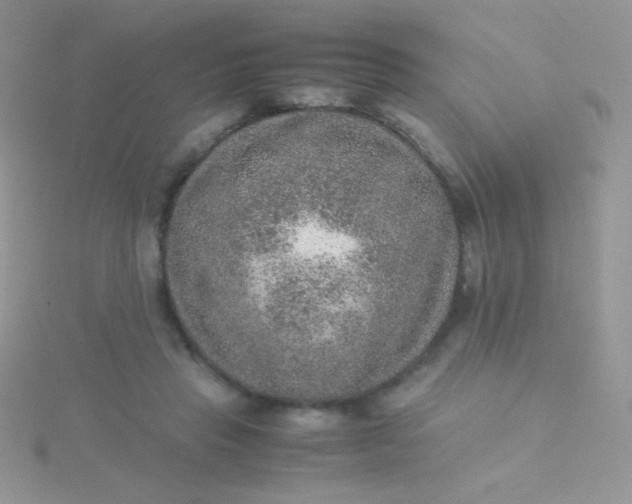 X0000115580453200911241516