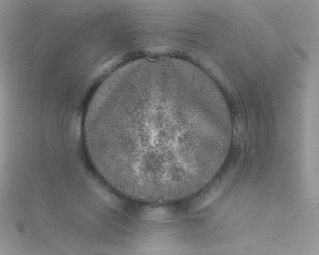 X0000115580454200911241516