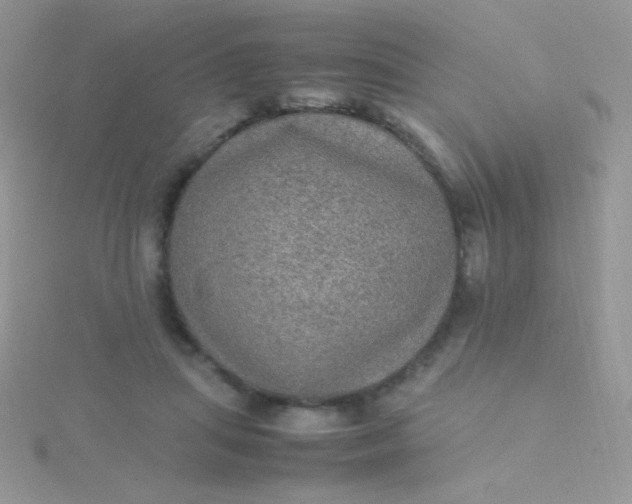 X0000115580455200911241516