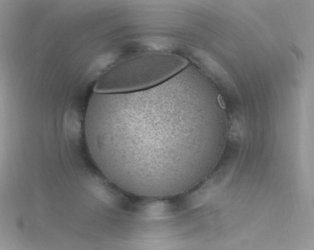 X0000115580456200911241516