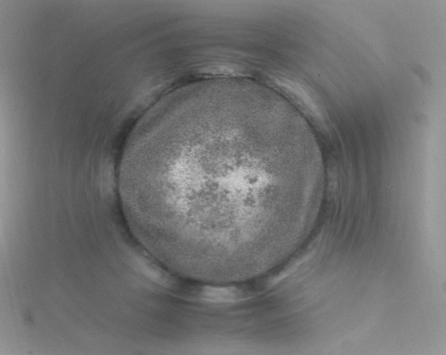 X0000115580457200911241516