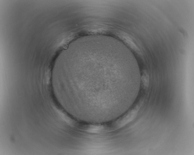 X0000115580458200911241516