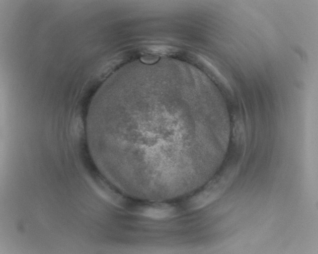 X0000115580459200911241516