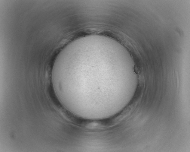 X0000115580460200911241516