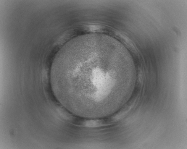 X0000115580461200911241516