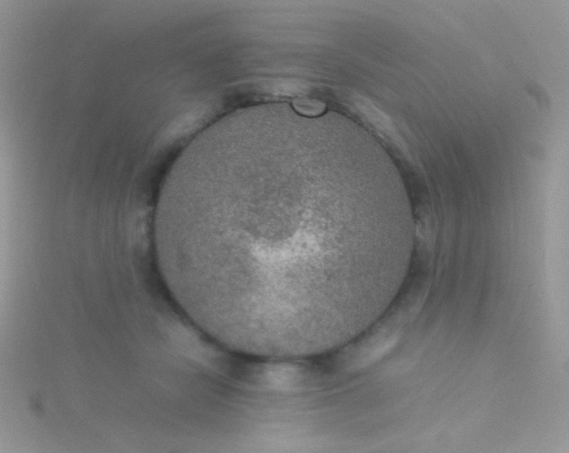 X0000115580462200911241516