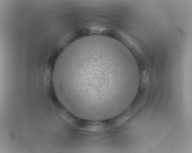 X0000115580463200911241516