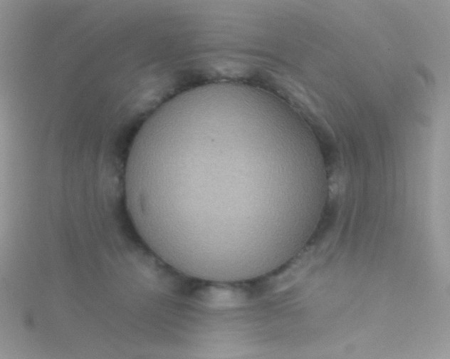 X0000115580464200911241516