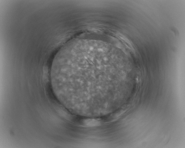 X0000115580465200911241516