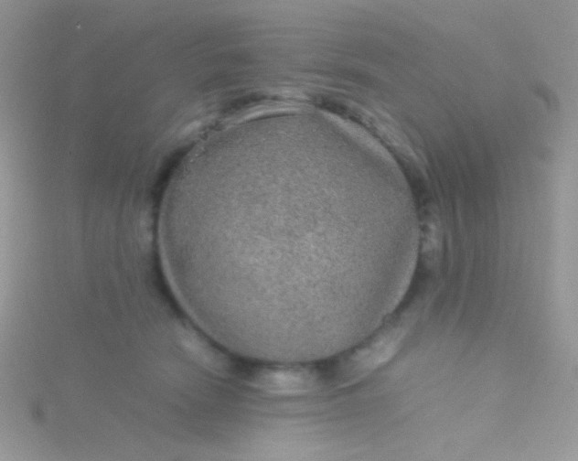 X0000115580466200911241516