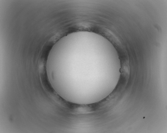 X0000115580468200911241516