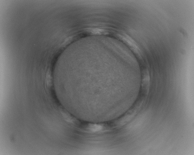 X0000115580469200911241516