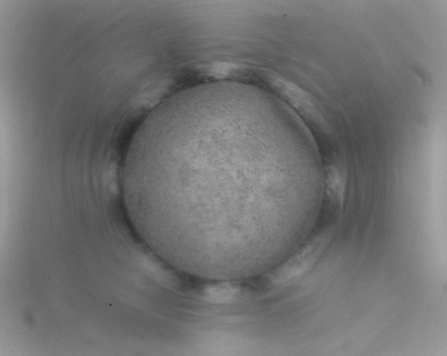 X0000115580470200911241516