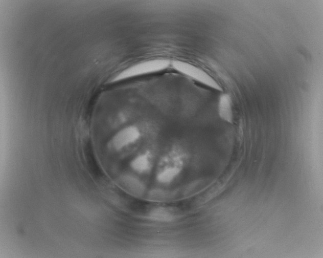 X0000115580471200911241516