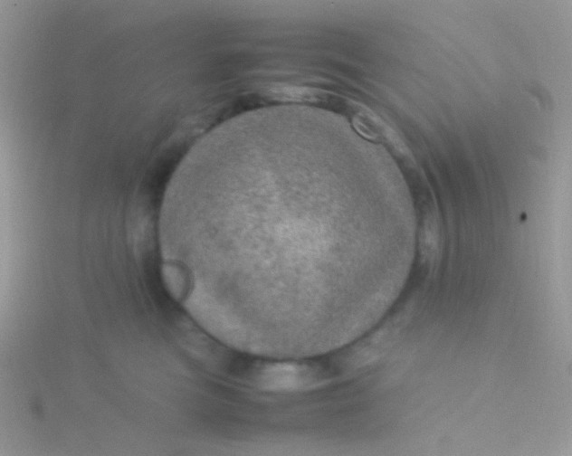 X0000115580473200911241516