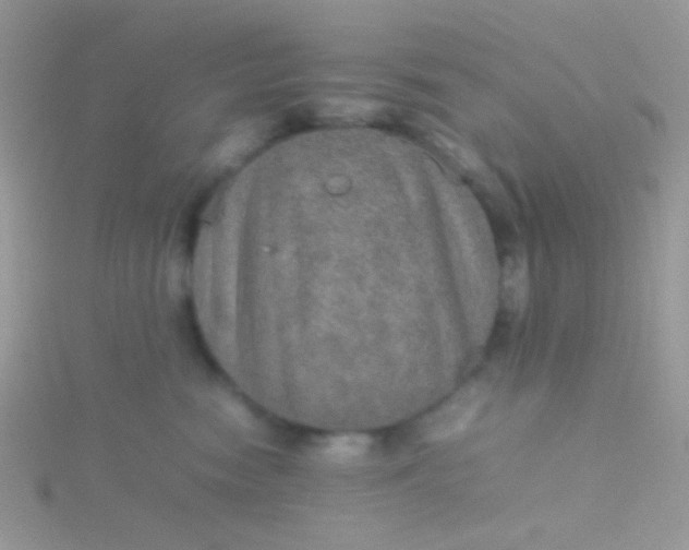 X0000115580474200911241516