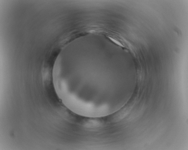 X0000115580475200911241516