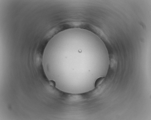 X0000115580476200911241516