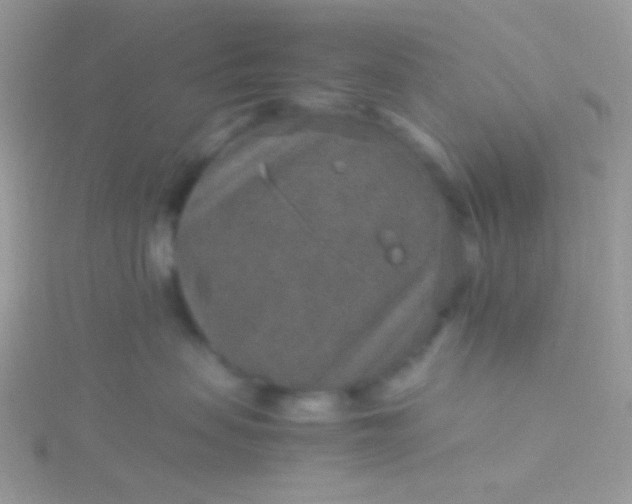 X0000115580479200911241516