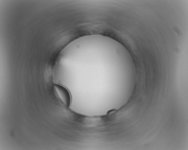 X0000115580480200911241516