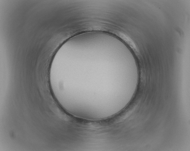 X0000115580481200911241516