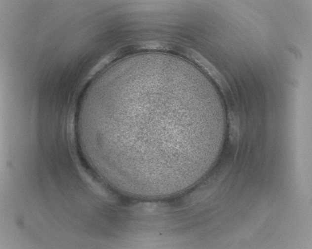 X0000115580482200911241516