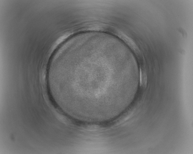 X0000115580483200911241516