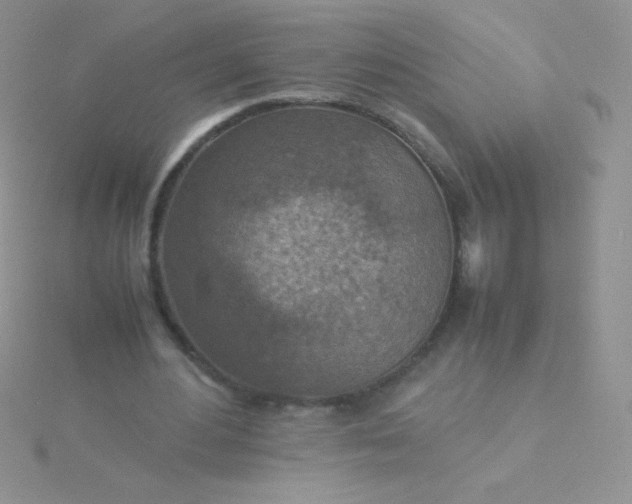 X0000115580484200911241516