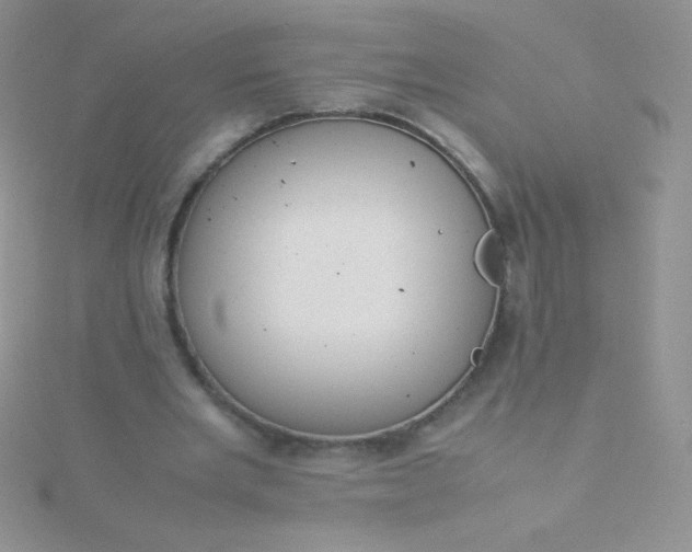 X0000115580485200911241516