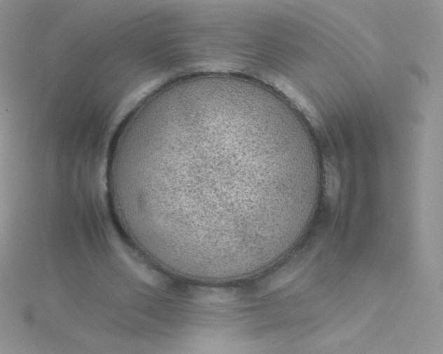 X0000115580486200911241516