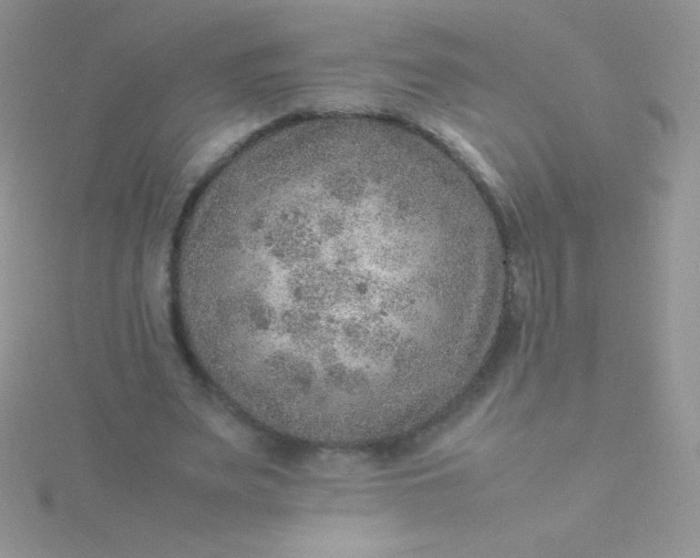 X0000115580487200911241516