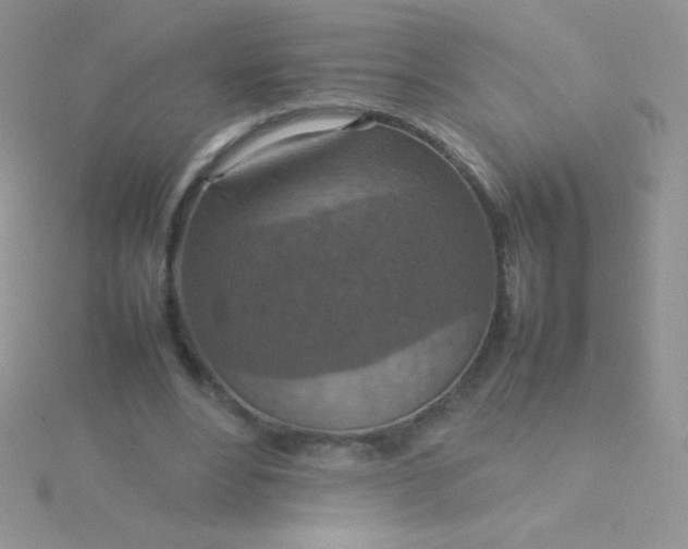 X0000115580488200911241516