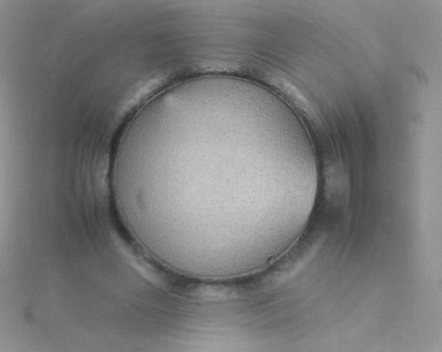 X0000115580490200911241515