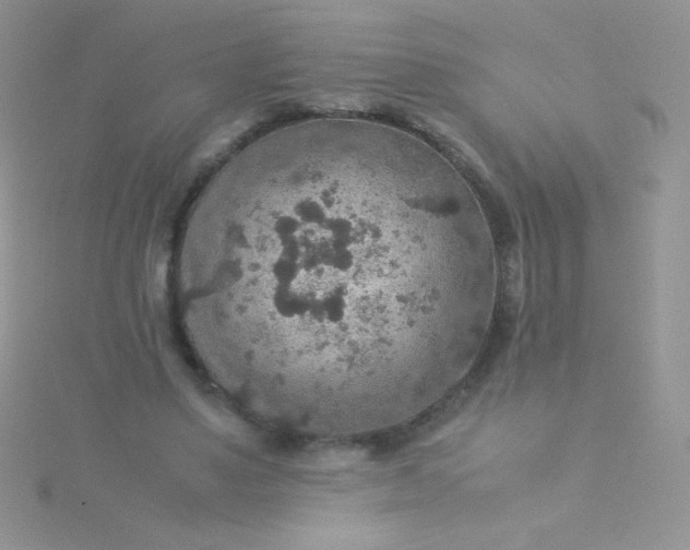 X0000115580491200911241515