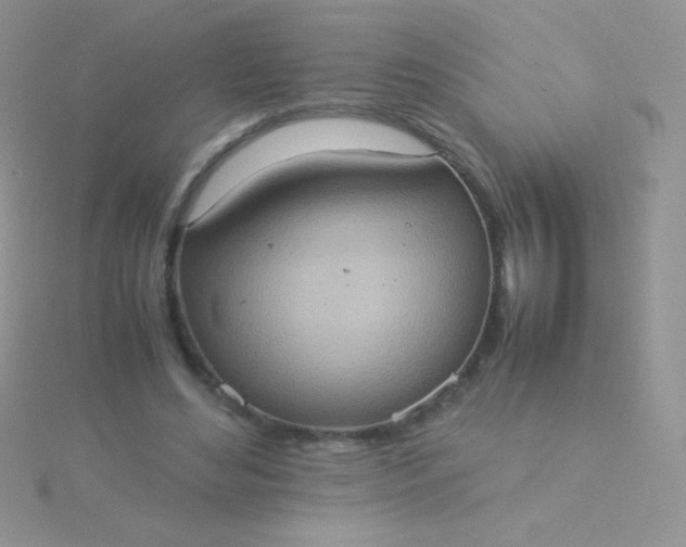 X0000115580492200911241515