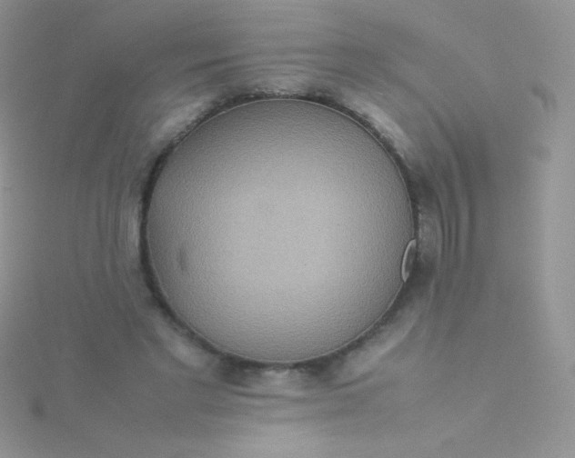 X0000115580493200911241515