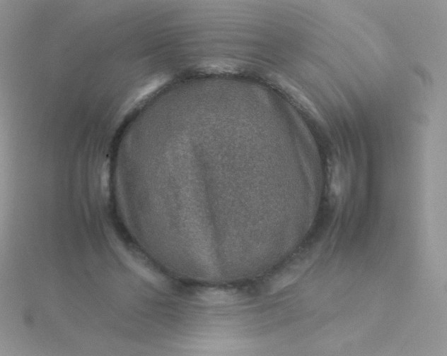 X0000115580494200911241515