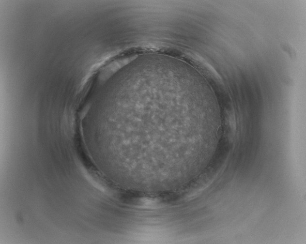 X0000115580496200911241515