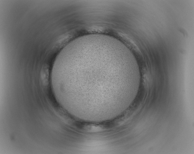 X0000115580498200911241515