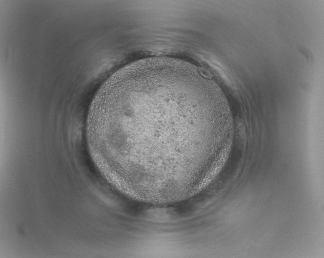 X0000115580499200911241515